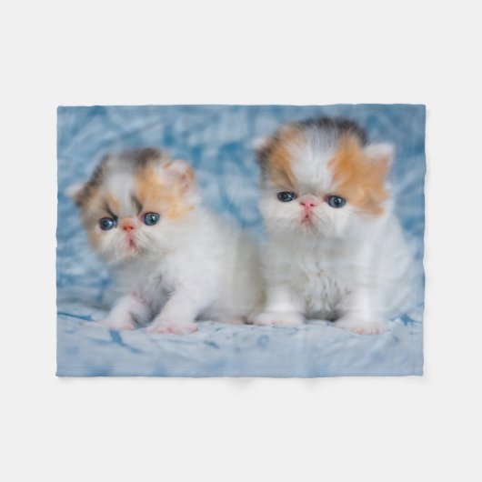Kutest Baby Animals | Perzisch Calico Kitten Fleece Deken (Voorkant (Horizontaal))