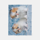 Kutest Baby Animals | Perzisch Calico Kitten Fleece Deken (Voorkant)