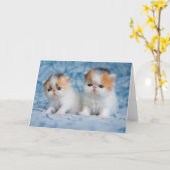 Kutest Baby Animals | Perzisch Calico Kitten Kaart (Gele Bloem)