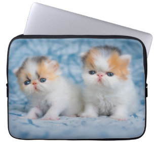 Kutest Baby Animals Perzisch Calico Kitten Laptop Sleeve