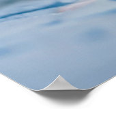 Kutest Baby Animals | Perzisch Calico Kitten Poster (Hoek)