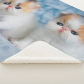 Kutest Baby Animals | Perzisch Calico Kitten Sherpa Deken (3/4)