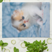 Kutest Baby Animals | Perzisch Calico Kitten Theedoek (Gevouwen)