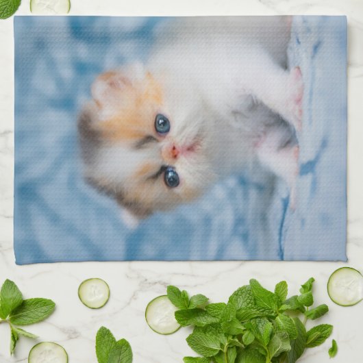 Kutest Baby Animals | Perzisch Calico Kitten Theedoek (Gevouwen)