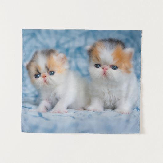 Kutest Baby Animals | Perzisch Calico Kitten Wandkleed (Voorkant (horizontaal))