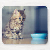 Kutest Baby Animals | Perzisch Keuten met blauwe o Muismat (Voorkant)