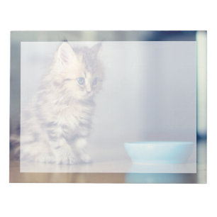 Kutest Baby Animals Perzisch Keuten met blauwe o Notitieblok