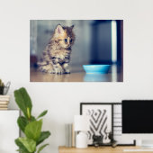 Kutest Baby Animals | Perzisch Keuten met blauwe o Poster (Thuiskantoor)