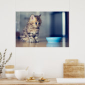 Kutest Baby Animals | Perzisch Keuten met blauwe o Poster (Keuken)