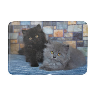 Kutest Baby Animals   Perzische Kittens in Blanket Badmat