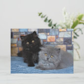 Kutest Baby Animals | Perzische Kittens in Blanket Bedankkaart (Staand voorkant)