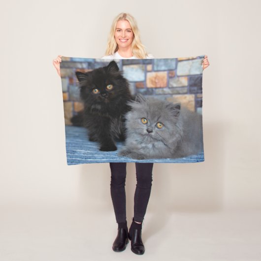 Kutest Baby Animals | Perzische Kittens in Blanket Fleece Deken (In situ)