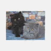 Kutest Baby Animals | Perzische Kittens in Blanket Fleece Deken (Voorkant (Horizontaal))