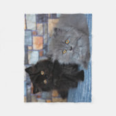 Kutest Baby Animals | Perzische Kittens in Blanket Fleece Deken (Voorkant)