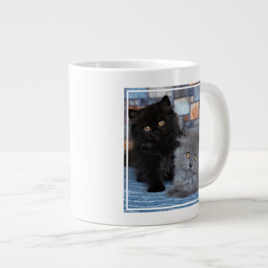 Kutest Baby Animals | Perzische Kittens in Blanket Grote Koffiekop (Voorkant rechts)