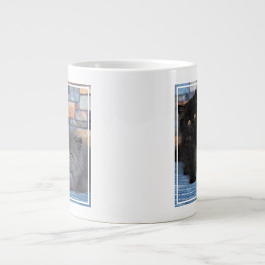 Kutest Baby Animals | Perzische Kittens in Blanket Grote Koffiekop (Voorkant)