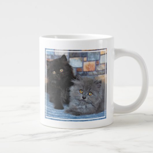 Kutest Baby Animals | Perzische Kittens in Blanket Grote Koffiekop (Rechts)