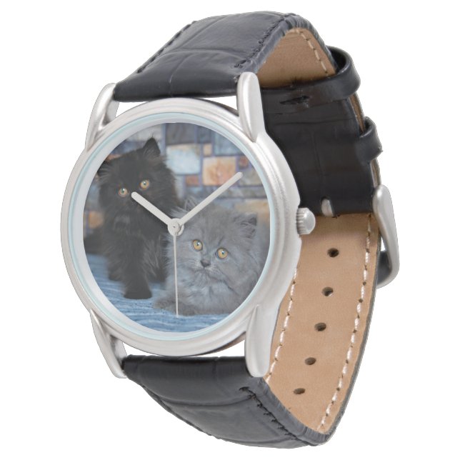 Kutest Baby Animals | Perzische Kittens in Blanket Horloge (Gekanteld)