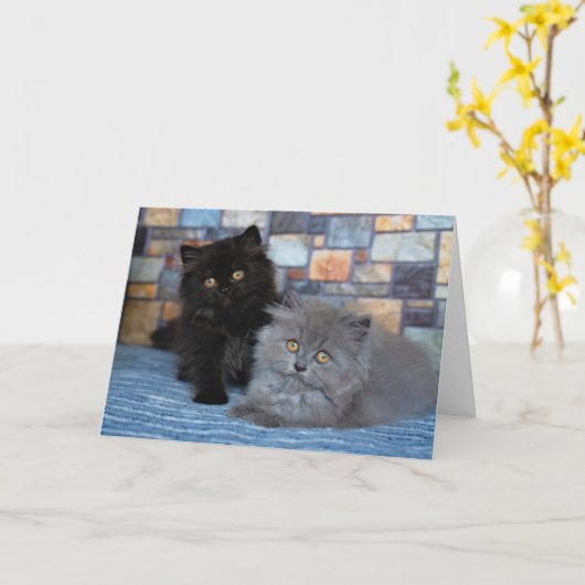 Kutest Baby Animals | Perzische Kittens in Blanket Kaart (Gele Bloem)