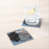 Kutest Baby Animals | Perzische Kittens in Blanket Kartonnen Onderzetters (Insitu)