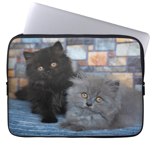 Kutest Baby Animals | Perzische Kittens in Blanket Laptop Sleeve (Voorkant)