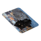 Kutest Baby Animals | Perzische Kittens in Blanket Magneet (Rechterzijde)