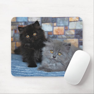 Kutest Baby Animals Perzische Kittens in Blanket Muismat