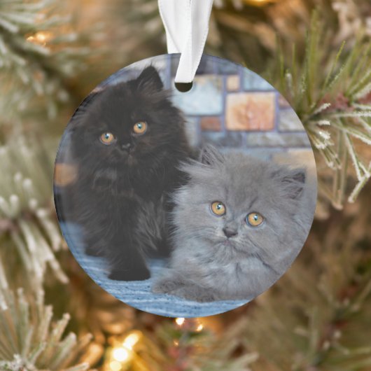 Kutest Baby Animals | Perzische Kittens in Blanket Ornament (Boom)