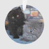 Kutest Baby Animals | Perzische Kittens in Blanket Ornament (voorkant)