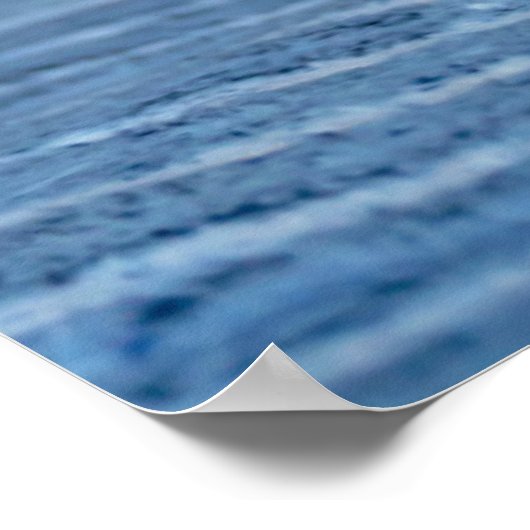 Kutest Baby Animals | Perzische Kittens in Blanket Poster (Hoek)