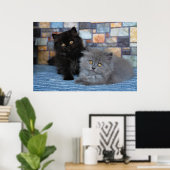 Kutest Baby Animals | Perzische Kittens in Blanket Poster (Thuiskantoor)