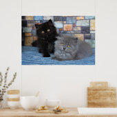 Kutest Baby Animals | Perzische Kittens in Blanket Poster (Keuken)