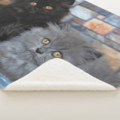 Kutest Baby Animals | Perzische Kittens in Blanket Sherpa Deken (3/4)