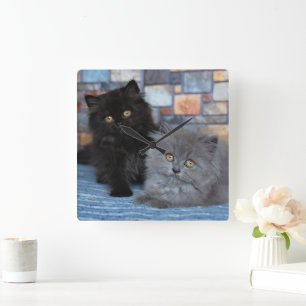 Kutest Baby Animals Perzische Kittens in Blanket Vierkante Klok
