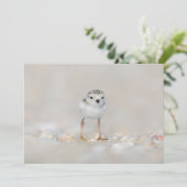 Kutest Baby Animals | Pijpgooisteen Bedankkaart (Staand voorkant)