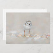 Kutest Baby Animals | Pijpgooisteen Bedankkaart (Voorkant / Achterkant)