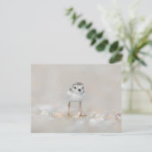Kutest Baby Animals | Pijpgooisteen Briefkaart (Staand voorkant)