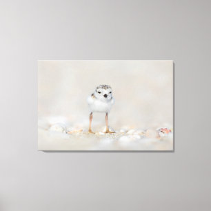 Kutest Baby Animals   Pijpgooisteen Canvas Afdruk