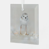 Kutest Baby Animals | Pijpgooisteen Glas Ornament (Voorkant links)
