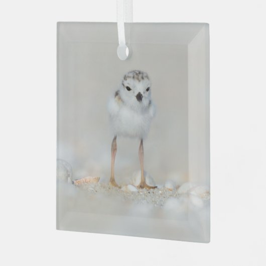 Kutest Baby Animals | Pijpgooisteen Glas Ornament (Voorkant links)