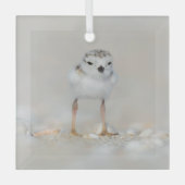Kutest Baby Animals | Pijpgooisteen Glas Ornament (Voorkant)