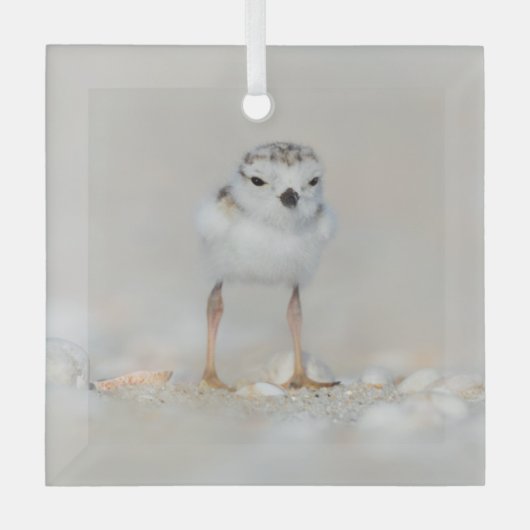 Kutest Baby Animals | Pijpgooisteen Glas Ornament (Voorkant)