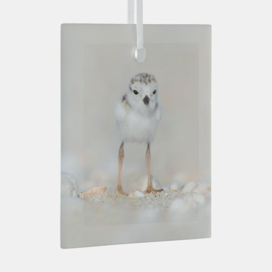 Kutest Baby Animals | Pijpgooisteen Glas Ornament (Voorkant Rechts)