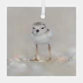 Kutest Baby Animals | Pijpgooisteen Glas Ornament (Achterkant)