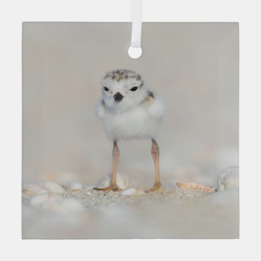Kutest Baby Animals | Pijpgooisteen Glas Ornament (Achterkant)