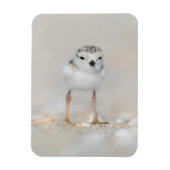 Kutest Baby Animals | Pijpgooisteen Magneet (Verticaal)