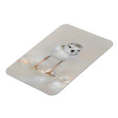 Kutest Baby Animals | Pijpgooisteen Magneet (Linkerzijde)