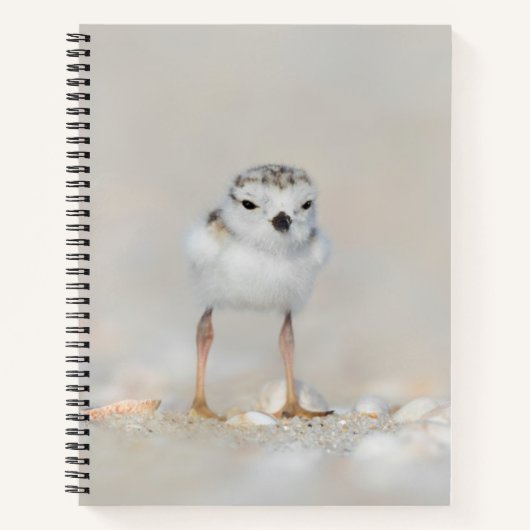 Kutest Baby Animals | Pijpgooisteen Notitieboek (Voorkant)