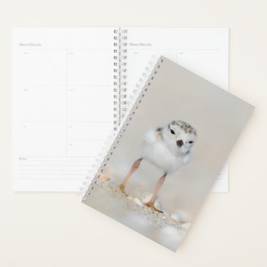 Kutest Baby Animals | Pijpgooisteen Planner (Display)