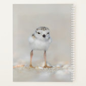 Kutest Baby Animals | Pijpgooisteen Planner (Achterkant)